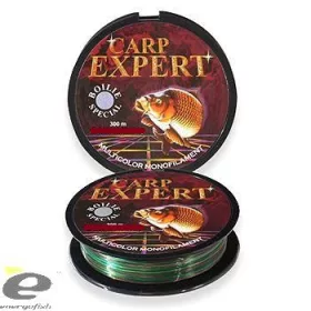 Schnur Carp Expert Boilie Special 0,35Mm 300M