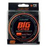 Nevis Big Cat 200m 0.80mm Geflochtene Hauptschnur-Grün