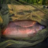 CARP ACADEMY Karpfenkescherkopf 80x80 Kescherkopf Karpfenkescher
