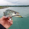 Reiva Ultra Strong Jig Head 1/0-10gr 4Stk/Pckg Jigkopf