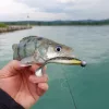Reiva Ultra Strong Jig Head 28gr 6/0 Jigkopf 3Stk.
