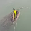 Reiva Ultra Strong Jig Head 28gr 6/0 Jigkopf 3Stk.