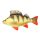 Fischkissen Barsch