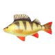 Fischkissen Barsch
