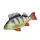 Fischkissen Barsch Baby
