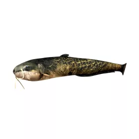 Fischkissen Wels Baby