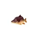 Fischkissen Karpfen Baby