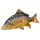 Fischkissen Riesenkarpfen