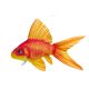 Fischkissen Goldfisch