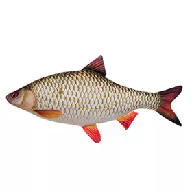 FISCHKISSEN ROTAUGE