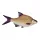 Fischkissen Brasse 70Cm