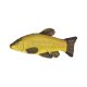 EnergoTeam Fischkissen Schleie 60cm