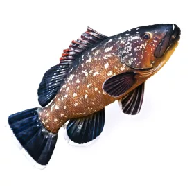 EnergoTeam The Dusky Grouper 100cm Fischkissen