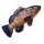 EnergoTeam The Dusky Grouper 100cm Fischkissen