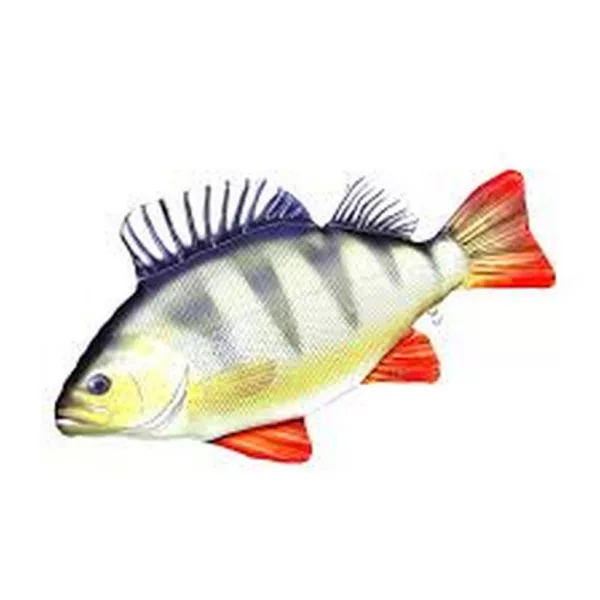 EnergoTeam The Monster Perch 160cm Fischkissen