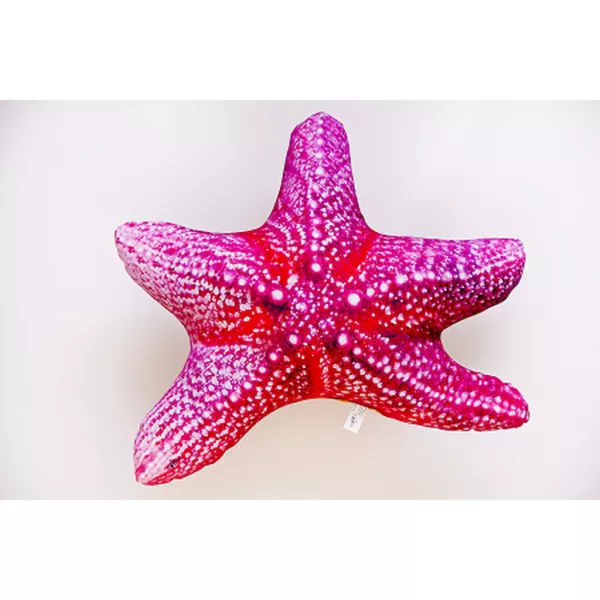 EnergoTeam The Starfish 55cm Fischkissen