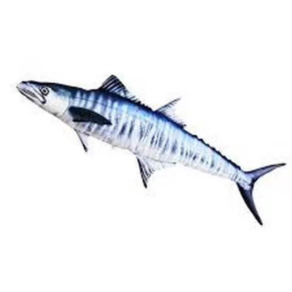EnergoTeam The Spanish Mackerel 102cm Fischkissen