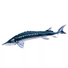 EnergoTeam The European Sturgeon 36cm Fischkissen