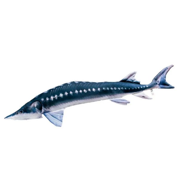 EnergoTeam The European Sturgeon 36cm Fischkissen