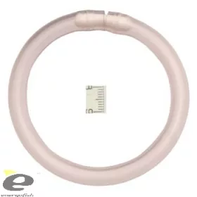 Bissanzeiger Ring Leuchtpatrone Farbig