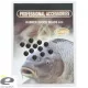 Et Gummikugel 5Mm