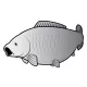 Delphin Selbstklebender Karpfen SILVER