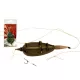 Carp Expert Method Rig Vorfach mit Köderspike 40gr + 7 Spikes