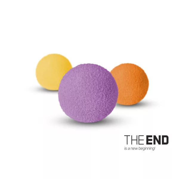 Delphin THE END ZIG RIG MIX / 10 Stk. 12mm