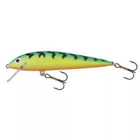 Salmo Wobbler Minnow GT 60mm - 4gr