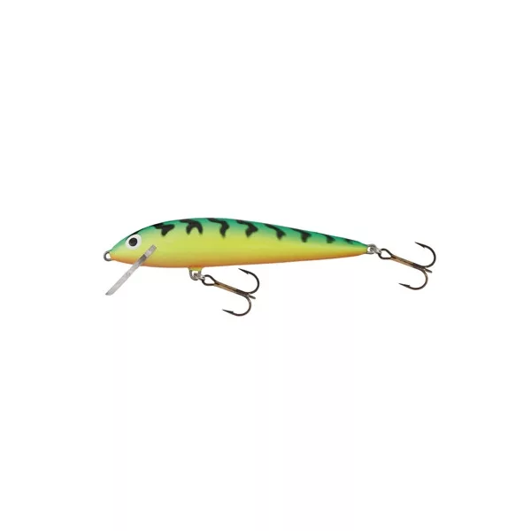 Salmo Wobbler Minnow GT 60mm - 4gr