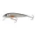 Salmo Minnow M6S RBT 6cm 6gr sinkender Wobbler