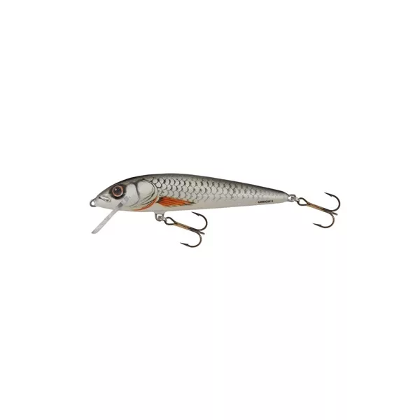 Salmo Minnow M6S RBT 6cm 6gr sinkender Wobbler