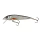 Salmo Minnow M6S RBT 6cm 6gr sinkender Wobbler