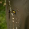 Avid Revolve Waterproof Suit L Regenanzug Set