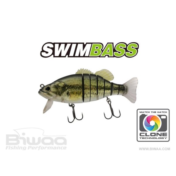 Biwaa Swimbass Slow Sink 15cm 65gr 01 Real Bass Wobbler 1Stk