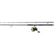 Black Cat Hard Core Combo Allround Rod 2,70m 500gr 2-teilige Rute mit Black Passion FD 80 Rolle und Schnur