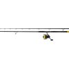 Black Cat Hard Core Combo Bank Rod 3,00m 600gr 2-teilige Welsrute mit Black Passion FD 80 Rolle und Schnur