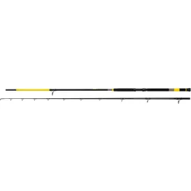   Black Cat Perfect Passion X Long Range 3,30m 600gr 2-teilige Welsrute