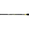 Black Cat Perfect Passion X Casting 2,20m 30-150gr 2-teilige Spinnrute