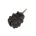 Bleie