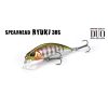 Duo Spearhead Ryuki 38S 3,8cm 2,8gr ADA3058 Prism Gill Sinkender Wobbler