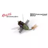 Duo Realis Shinmushi 4,0cm 5,7gr CPS3401 Tama Bug Insektenimitat