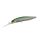 Duo Realis Jerkbait 100DR 10cm 15,6gr GEA3006 Ghost Minnow Schwimmender Wobbler