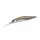 Duo Realis Jerkbait 100DR 10cm 15,6gr DSH3061 Komochi Wakasagi Schwimmender Wobbler