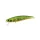 Duo Spearhead Ryuki 71S 7,1cm 10gr ADA4059 Green Gold OB Sinkender Wobbler