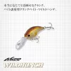 Evergreen Wildhunch 5,2cm 9,6gr #252 Secret Lime Wobbler