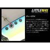 Evergreen Little Max Heavy Weight Tune 6,5cm 28gr #209 Hologram Wakasagi Blade Kunstköder