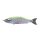 Babyface BB180-SF 18cm 80gr 37 Chart Back Ghost Wobbler