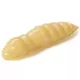 Fishup Pupa Cheese 2,28cm #108 Cheese Plastikköder 12Stk