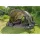 Anaconda Cusky Prime Dome 190 2 Personen Zelt 3,60x3,20x1,90m
